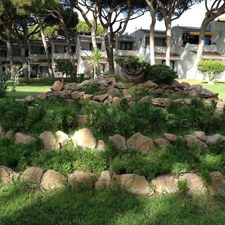 Buganvilia Apartment Praia Da Falesia البوفيرا المظهر الخارجي الصورة