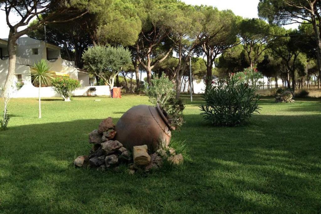 Buganvilia Apartment Praia Da Falesia البوفيرا المظهر الخارجي الصورة