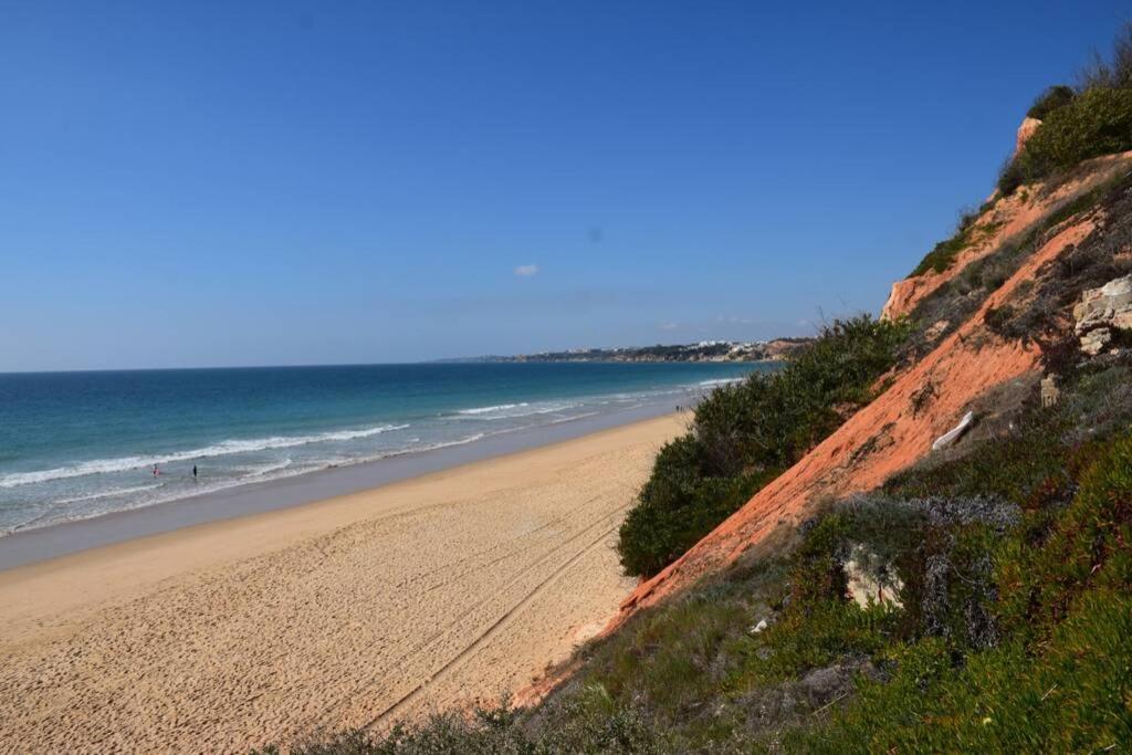 Buganvilia Apartment Praia Da Falesia البوفيرا المظهر الخارجي الصورة