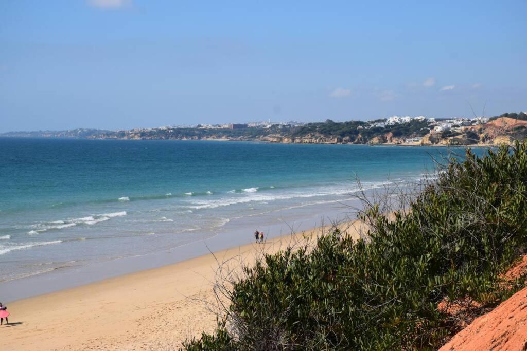 Buganvilia Apartment Praia Da Falesia البوفيرا المظهر الخارجي الصورة